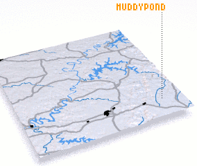 3d view of Muddy Pond