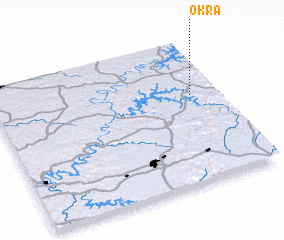 3d view of Okra