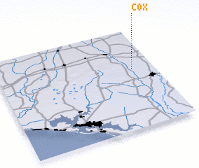 3d view of Cox