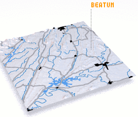 3d view of Beatum