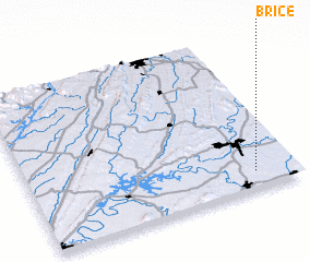 3d view of Brice
