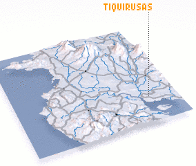 3d view of Tiquirusas