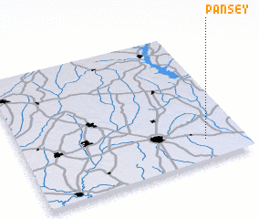 3d view of Pansey