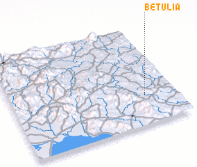 3d view of Betulia