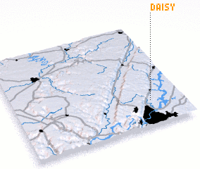 3d view of Daisy