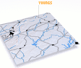 3d view of Youngs
