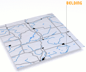 3d view of Belding