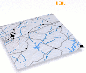 3d view of Veal