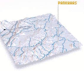 3d view of Pankawás