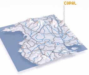 3d view of Copal