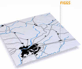 3d view of Figgs