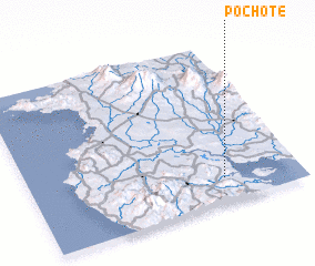 3d view of Pochote