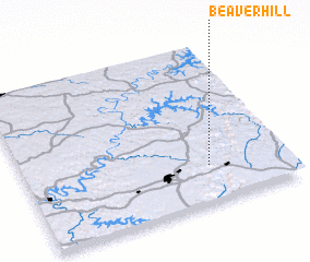 3d view of Beaver Hill