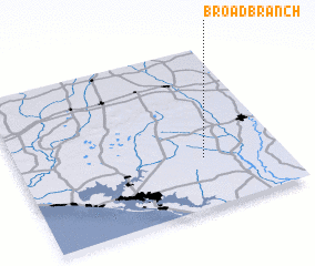 3d view of Broad Branch