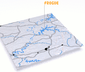 3d view of Frogue