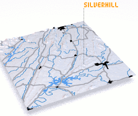 3d view of Silver Hill