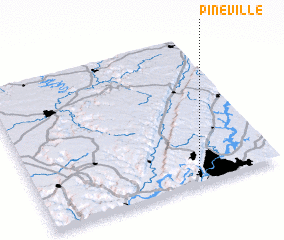 3d view of Pineville