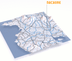 3d view of Nacaome