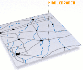 3d view of Middle Branch