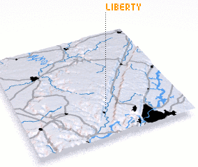 3d view of Liberty