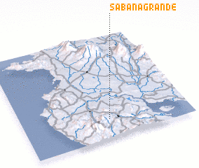 3d view of Sabana Grande