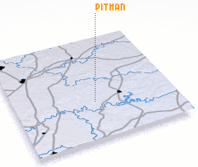 3d view of Pitman