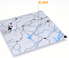 3d view of Blake