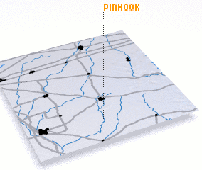 3d view of Pinhook