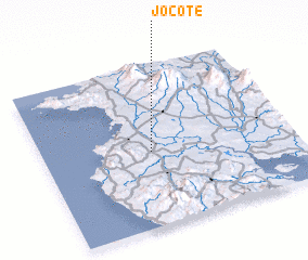 3d view of Jocote