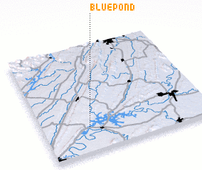 3d view of Blue Pond