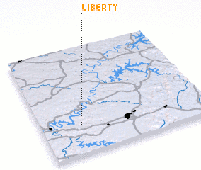 3d view of Liberty