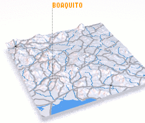 3d view of Boaquito