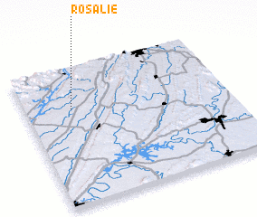 3d view of Rosalie