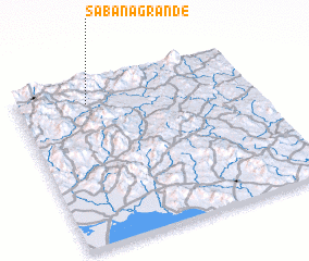 3d view of Sabana Grande