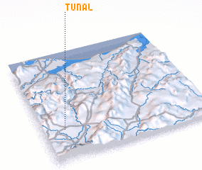 3d view of Tunal