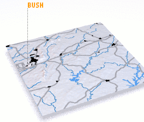 3d view of Bush