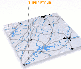 3d view of Turkeytown