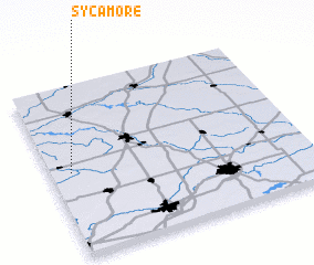 3d view of Sycamore