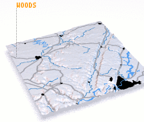 3d view of Woods