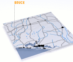 3d view of Bruce