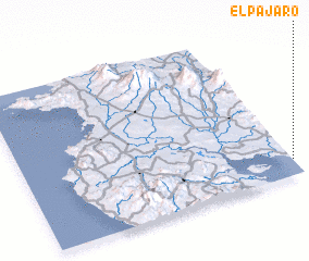 3d view of El Pájaro