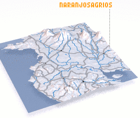 3d view of Naranjos Agrios