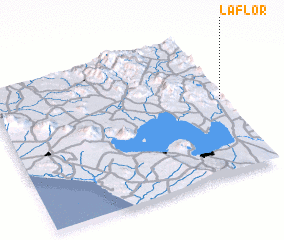 3d view of La Flor