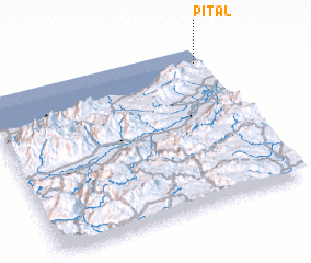 3d view of Pital