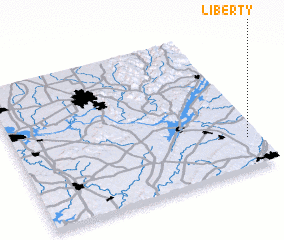 3d view of Liberty