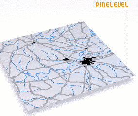 3d view of Pine Level