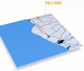 3d view of Tallman