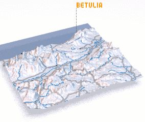 3d view of Betulia
