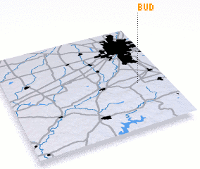 3d view of Bud