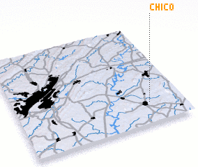 3d view of Chico